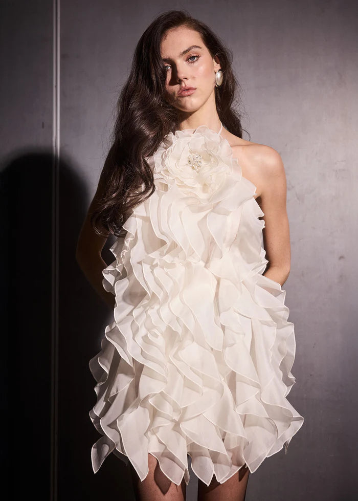 Retrofête Arina Short Dress